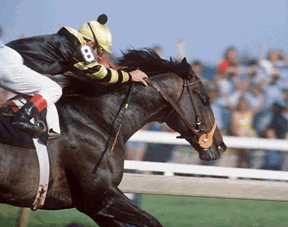 Seattle Slew